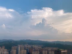 -济南凯宾斯基酒店-THE VIEW云景全日制餐厅