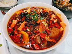 -黑蚂蚁(南河店)