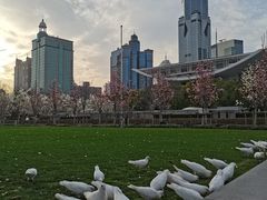 -上海博物馆(人民广场馆)