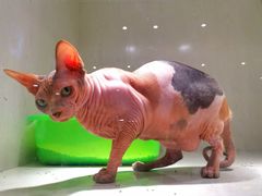 -乐宠宠物店(世纪金源店)