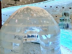 -广州热雪奇迹