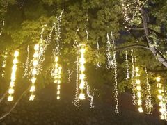 -大雁塔北广场音乐喷泉