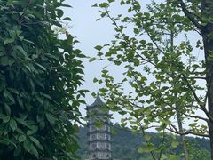 -大围山国家森林公园
