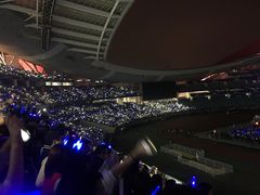 -南京奥林匹克体育中心-体育馆