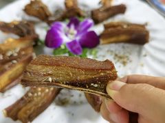 -墨脱石锅椰子鸡•香草鸭•东山羊(大东海店)