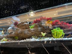 -红辣椒·川菜·火锅(张杨路店)