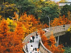 -福道