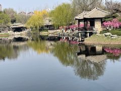 -静园(和平区)