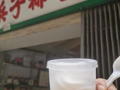 -洪馨椰子