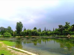 -两河城市森林公园