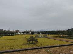 -艾米稻香小镇