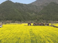 -石台牯牛降景区