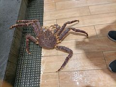 -宝燕海鲜(好爱店)