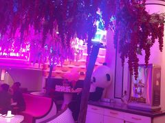 -巴特餐饮6加1音乐餐吧·新疆菜