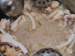 -探窝·竹笙椰子鸡(杨箕店)