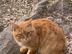 -终南山南五台景区