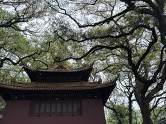 -普陀山风景名胜区-法雨禅寺