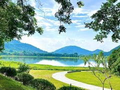 -风云岭森林公园