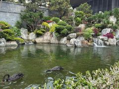 -南宁荔园维景国际酒店·荔园中餐厅