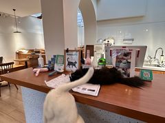 -有猫主题·治愈系猫咖(曾厝垵店)