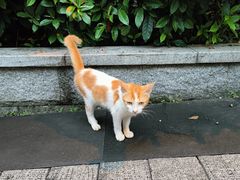 -荔湾湖公园