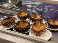 -HIHE Bistro·Oyster Bar(华熙live店)