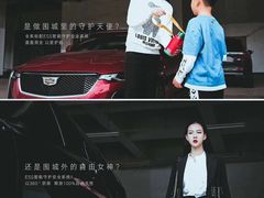 -河南威佳金凯汽车销售服务有限公司