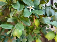 -青岛遇见米兰(八大关店)