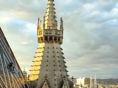 -斯蒂芬主教座堂(Stephansdom)