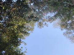 -广州雕塑公园