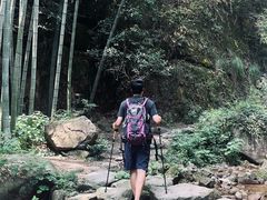 -莫干山风景区