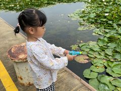 -永定河休闲森林公园