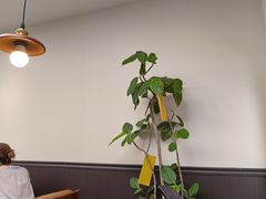 -沏点Trattoria意大利餐厅(新街口店)