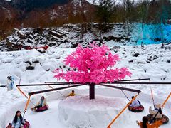 -叠溪松坪沟景区