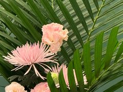 -南堂馆·新川菜(春熙路店)