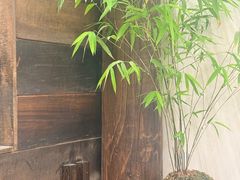 -竹子咖啡bamboo coffee