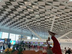 -郑州新郑国际机场-T2航站楼