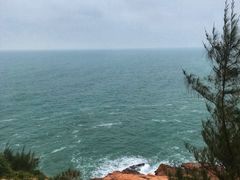 -广东惠东海龟国家级自然保护区