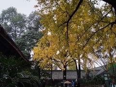 -青羊宫