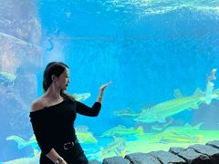 -多彩贵州城极地海洋世界