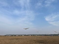 -盐城丹顶鹤湿地生态旅游区