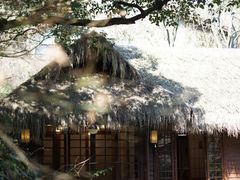 -中国茶叶博物馆(双峰馆区)