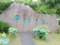 -荷塘月色湿地公园·向阳花洲