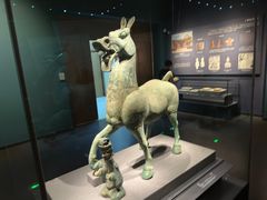 -广西壮族自治区博物馆