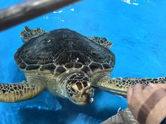 -泉城欧乐堡海洋极地世界