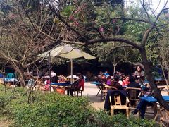 iphone_upload_pic-望江楼公园