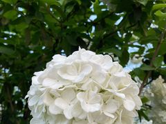 -大龙山(地铁站)