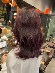 -HairCode芭曲发型