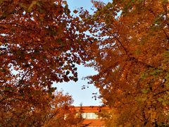 -北京市海淀外国语实验学校