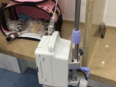 -伟伟宠物医院·CT影像中心·瑞派犬猫综合性门诊(汉口总院)
